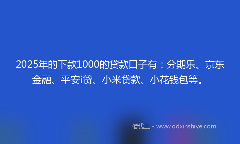2025年的下款1000的贷款口子有：分期乐、京东金融、平安i贷、小米贷款、小花钱包等。