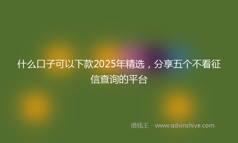 什么口子可以下款2025年精选，分享五个不看征信查询的平台