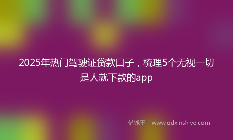 2025年热门驾驶证贷款口子，梳理5个无视一切是人就下款的app