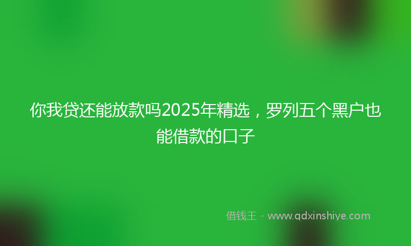 你我贷还能放款吗2025年精选，罗列五个黑户也能借款的口子