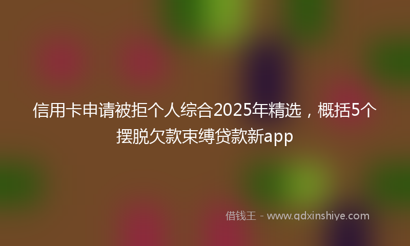 信用卡申请被拒个人综合2025年精选，概括5个摆脱欠款束缚贷款新app