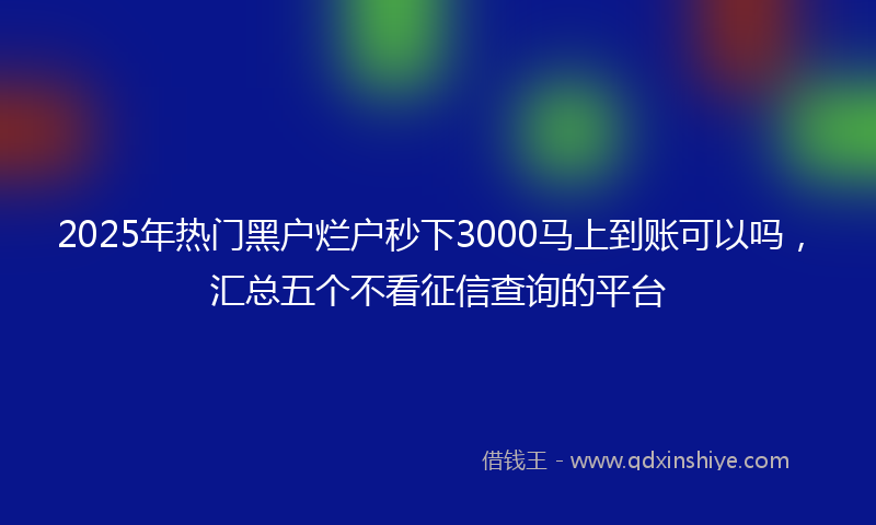 2025年热门黑户烂户秒下3000马上到账可以吗，汇总五个不看征信查询的平台