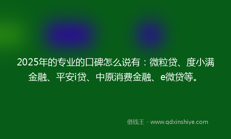 2025年的专业的口碑怎么说有：微粒贷、度小满金融、平安i贷、中原消费金融、e微贷等。