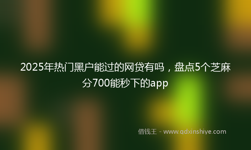 2025年热门黑户能过的网贷有吗，盘点5个芝麻分700能秒下的app