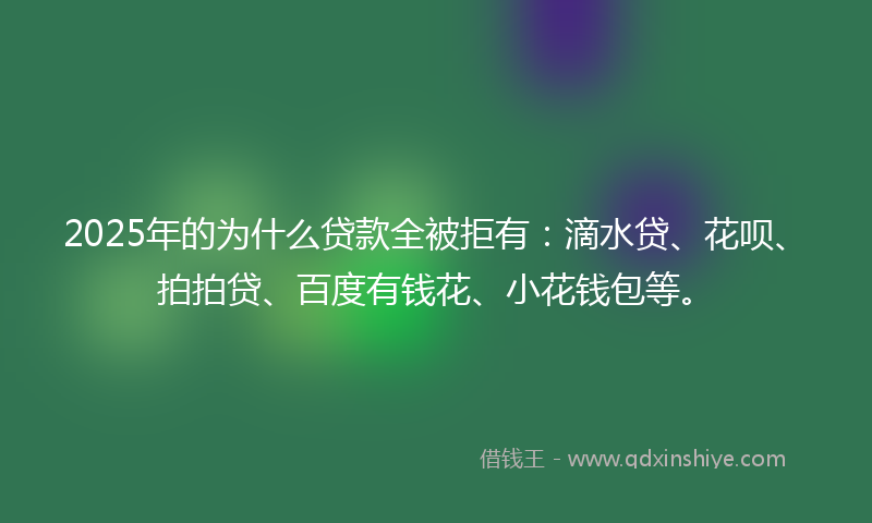 2025年的为什么贷款全被拒有：滴水贷、花呗、拍拍贷、百度有钱花、小花钱包等。