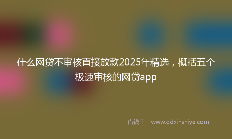 什么网贷不审核直接放款2025年精选，概括五个极速审核的网贷app