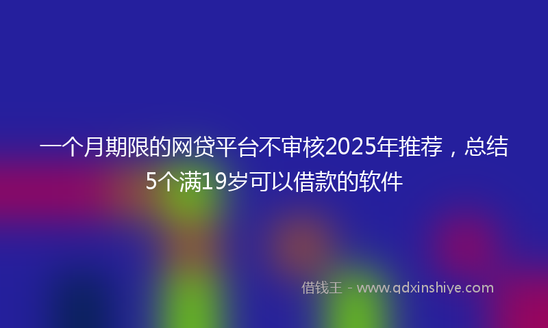 一个月期限的网贷平台不审核2025年推荐，总结5个满19岁可以借款的软件