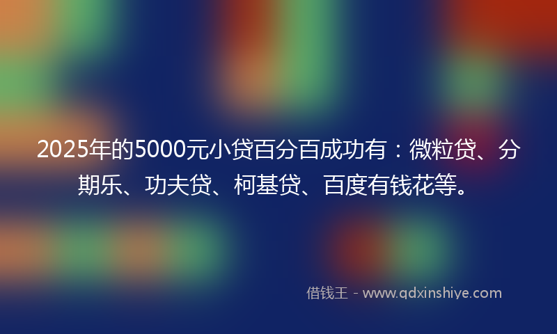 2025年的5000元小贷百分百成功有：微粒贷、分期乐、功夫贷、柯基贷、百度有钱花等。