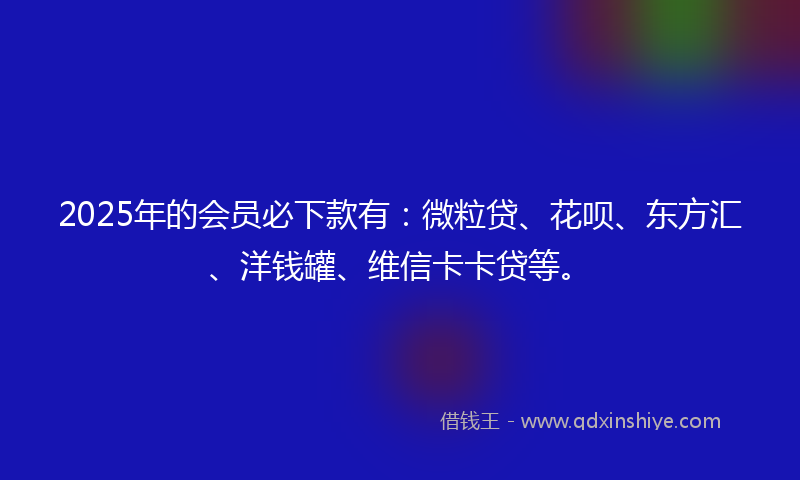 2025年的会员必下款有：微粒贷、花呗、东方汇、洋钱罐、维信卡卡贷等。