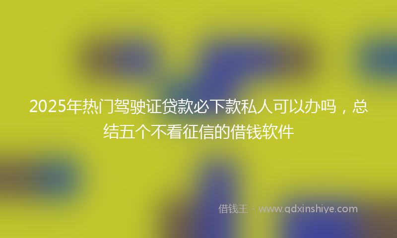 2025年热门驾驶证贷款必下款私人可以办吗，总结五个不看征信的借钱软件