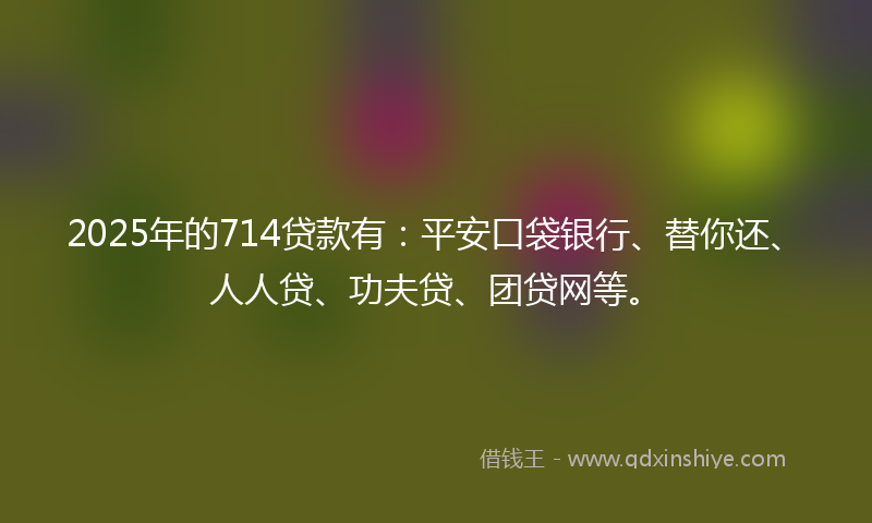 2025年的714贷款有：平安口袋银行、替你还、人人贷、功夫贷、团贷网等。