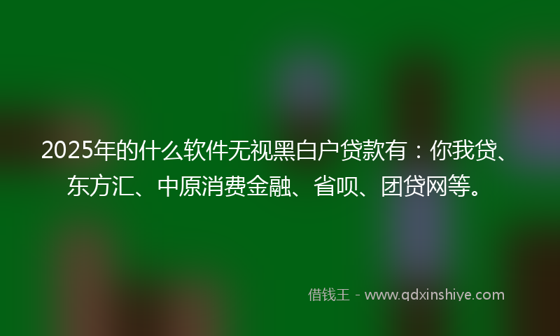 2025年的什么软件无视黑白户贷款有：你我贷、东方汇、中原消费金融、省呗、团贷网等。