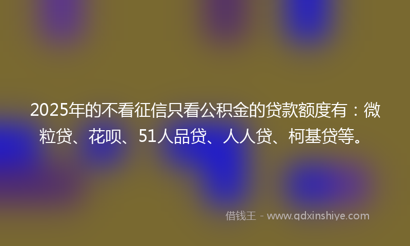 2025年的不看征信只看公积金的贷款额度有：微粒贷、花呗、51人品贷、人人贷、柯基贷等。