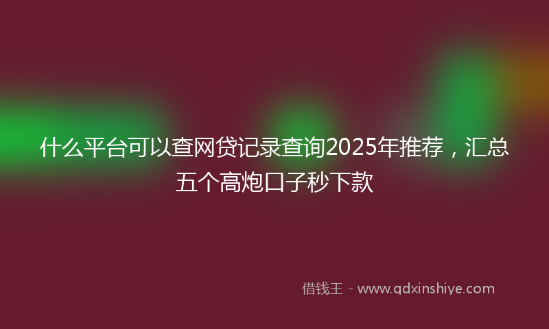什么平台可以查网贷记录查询2025年推荐，汇总五个高炮口子秒下款