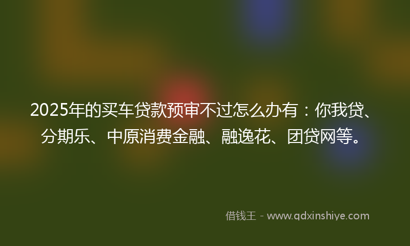 2025年的买车贷款预审不过怎么办有：你我贷、分期乐、中原消费金融、融逸花、团贷网等。