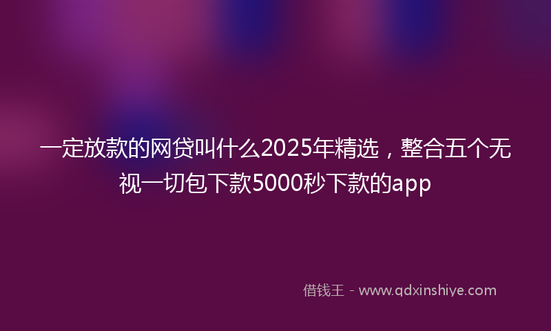 一定放款的网贷叫什么2025年精选，整合五个无视一切包下款5000秒下款的app