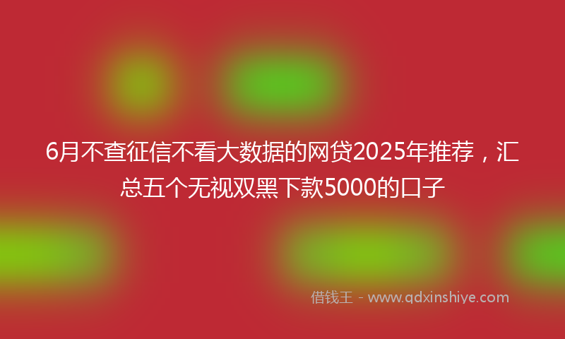 6月不查征信不看大数据的网贷2025年推荐，汇总五个无视双黑下款5000的口子