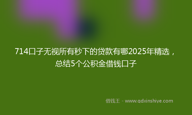714口子无视所有秒下的贷款有哪2025年精选，总结5个公积金借钱口子