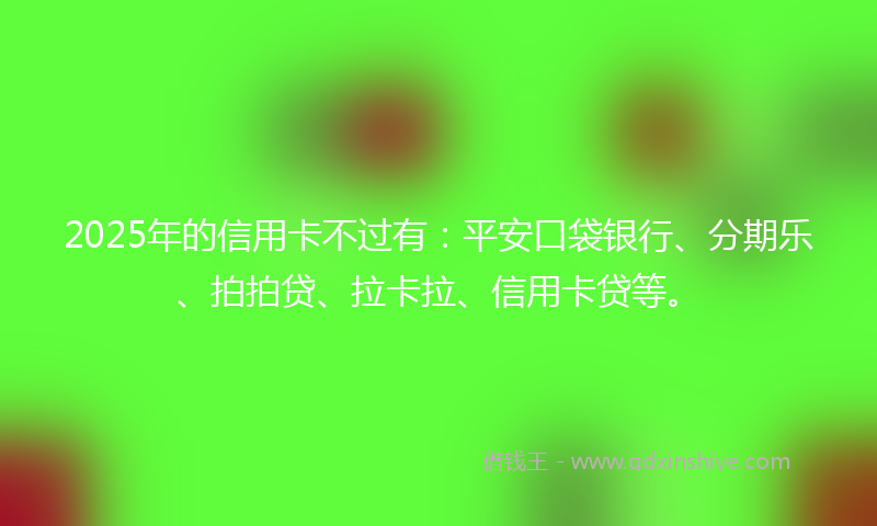 2025年的信用卡不过有：平安口袋银行、分期乐、拍拍贷、拉卡拉、信用卡贷等。