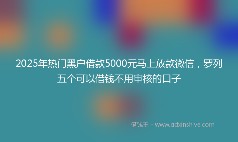 2025年热门黑户借款5000元马上放款微信，罗列五个可以借钱不用审核的口子