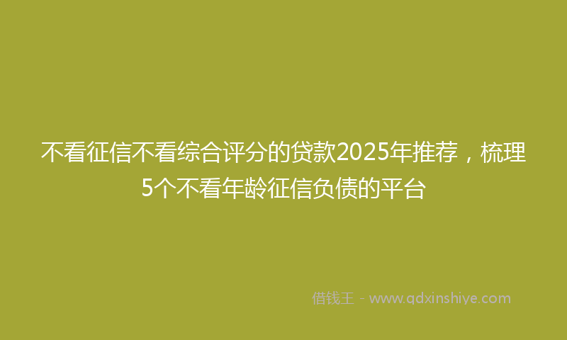 不看征信不看综合评分的贷款2025年推荐，梳理5个不看年龄征信负债的平台