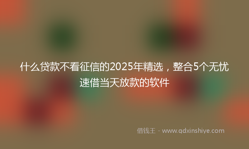 什么贷款不看征信的2025年精选，整合5个无忧速借当天放款的软件