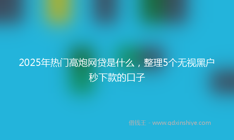 2025年热门高炮网贷是什么，整理5个无视黑户秒下款的口子