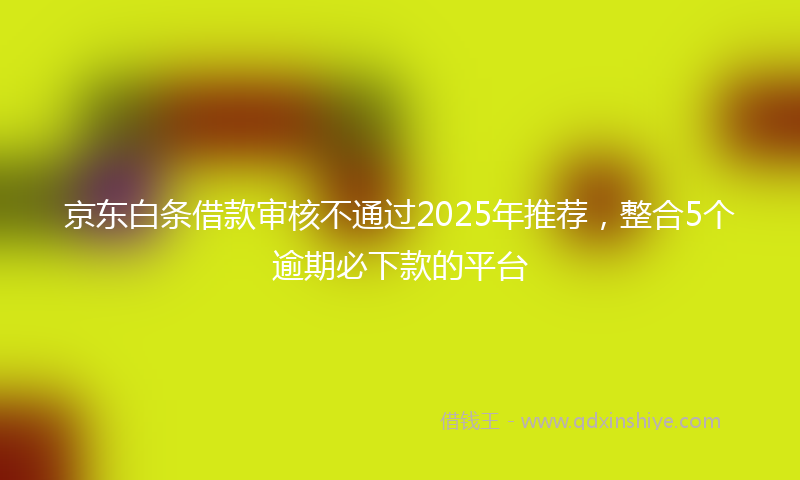 京东白条借款审核不通过2025年推荐，整合5个逾期必下款的平台