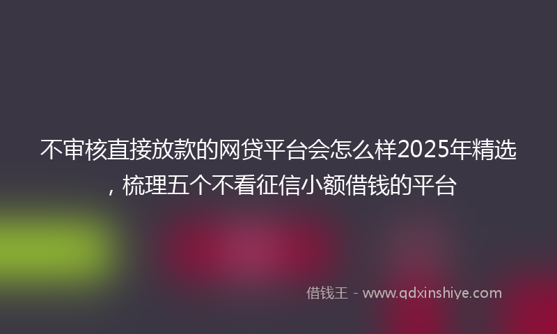 不审核直接放款的网贷平台会怎么样2025年精选，梳理五个不看征信小额借钱的平台