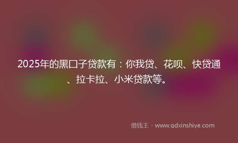 2025年的黑囗子贷款有：你我贷、花呗、快贷通、拉卡拉、小米贷款等。
