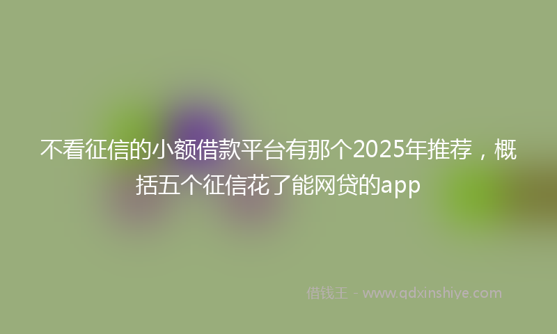 不看征信的小额借款平台有那个2025年推荐，概括五个征信花了能网贷的app