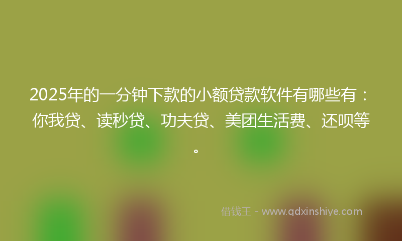 2025年的一分钟下款的小额贷款软件有哪些有：你我贷、读秒贷、功夫贷、美团生活费、还呗等。