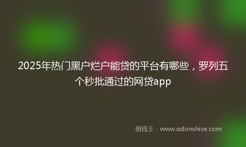 2025年热门黑户烂户能贷的平台有哪些，罗列五个秒批通过的网贷app