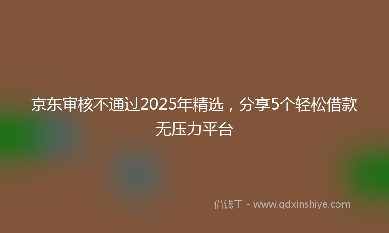 京东审核不通过2025年精选，分享5个轻松借款无压力平台
