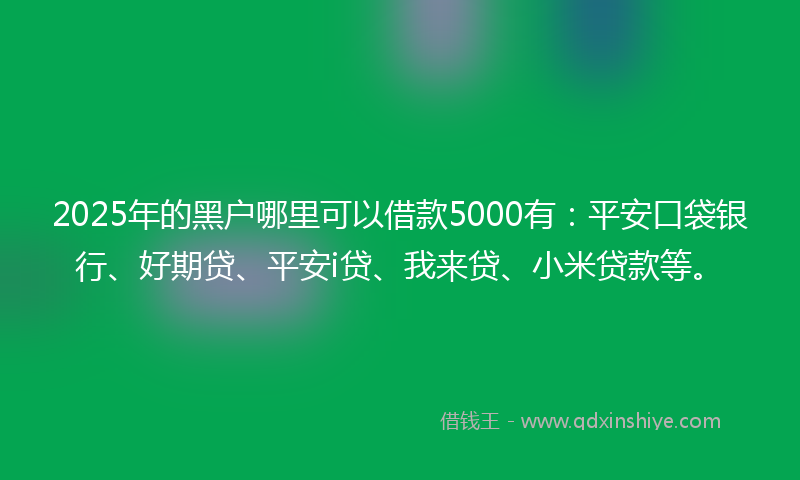 2025年的黑户哪里可以借款5000有：平安口袋银行、好期贷、平安i贷、我来贷、小米贷款等。