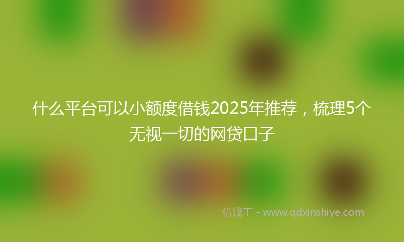什么平台可以小额度借钱2025年推荐，梳理5个无视一切的网贷口子