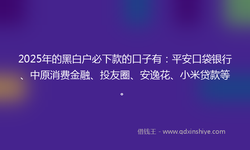 2025年的黑白户必下款的口子有：平安口袋银行、中原消费金融、投友圈、安逸花、小米贷款等。