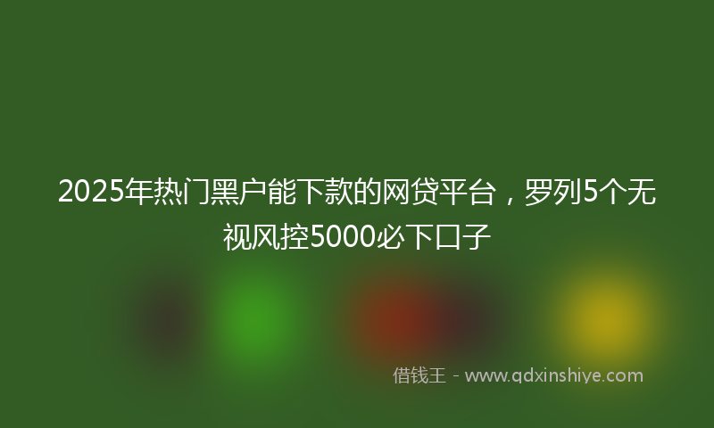 2025年热门黑户能下款的网贷平台，罗列5个无视风控5000必下口子
