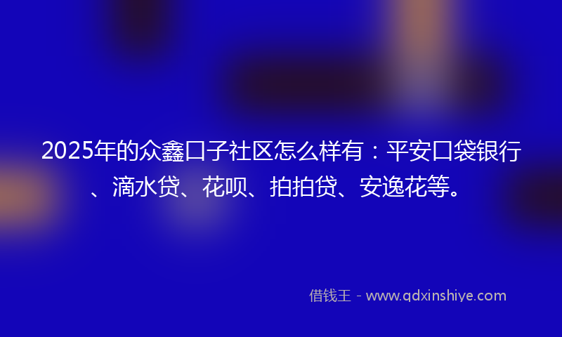 2025年的众鑫口子社区怎么样有：平安口袋银行、滴水贷、花呗、拍拍贷、安逸花等。