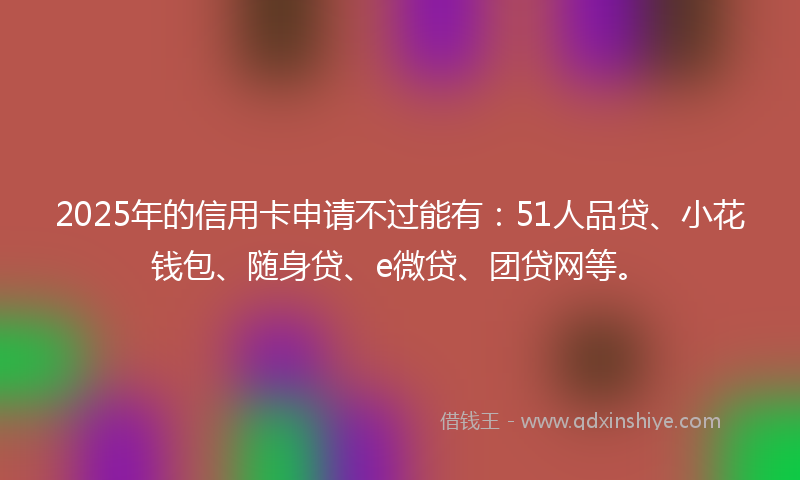 2025年的信用卡申请不过能有:51人品贷、小花钱包、随身贷、e微贷、团贷网等。
