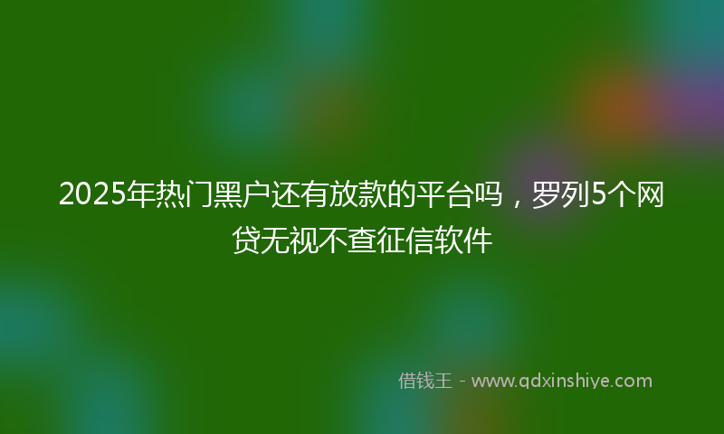 2025年热门黑户还有放款的平台吗，罗列5个网贷无视不查征信软件