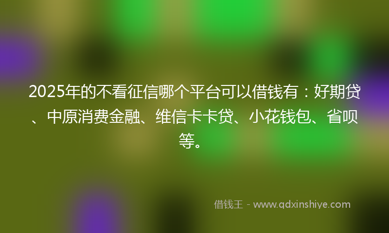 2025年的不看征信哪个平台可以借钱有：好期贷、中原消费金融、维信卡卡贷、小花钱包、省呗等。