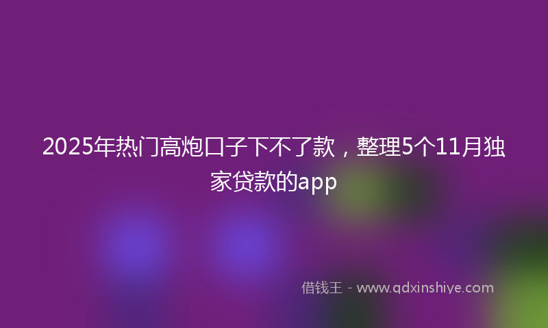 2025年热门高炮口子下不了款，整理5个11月独家贷款的app