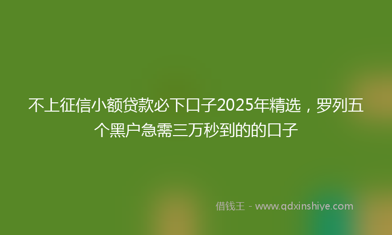 不上征信小额贷款必下口子2025年精选，罗列五个黑户急需三万秒到的的口子