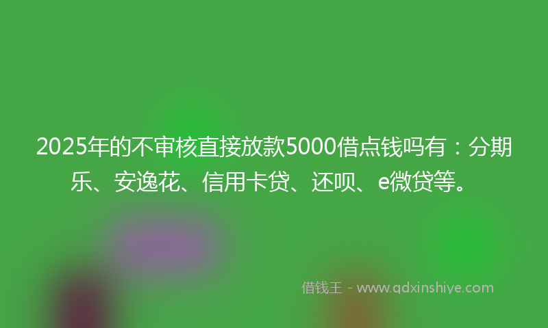 2025年的不审核直接放款5000借点钱吗有：分期乐、安逸花、信用卡贷、还呗、e微贷等。