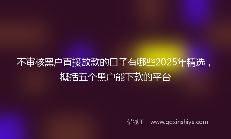 不审核黑户直接放款的口子有哪些2025年精选，概括五个黑户能下款的平台