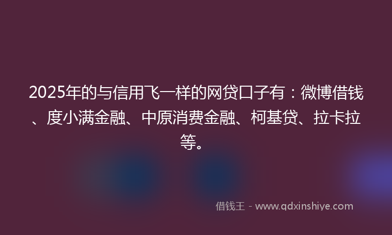 2025年的与信用飞一样的网贷口子有：微博借钱、度小满金融、中原消费金融、柯基贷、拉卡拉等。