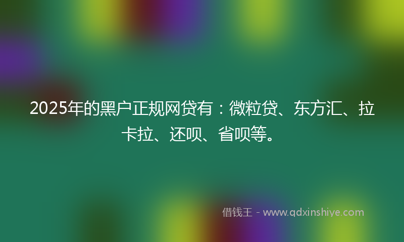 2025年的黑户正规网贷有：微粒贷、东方汇、拉卡拉、还呗、省呗等。