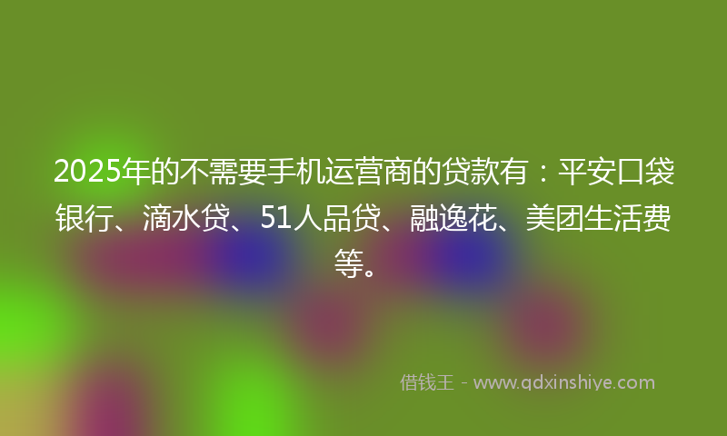 2025年的不需要手机运营商的贷款有：平安口袋银行、滴水贷、51人品贷、融逸花、美团生活费等。