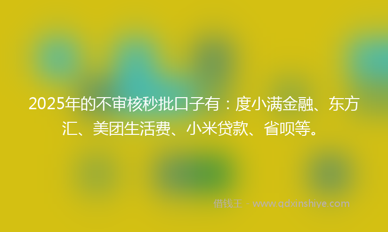 2025年的不审核秒批口子有：度小满金融、东方汇、美团生活费、小米贷款、省呗等。